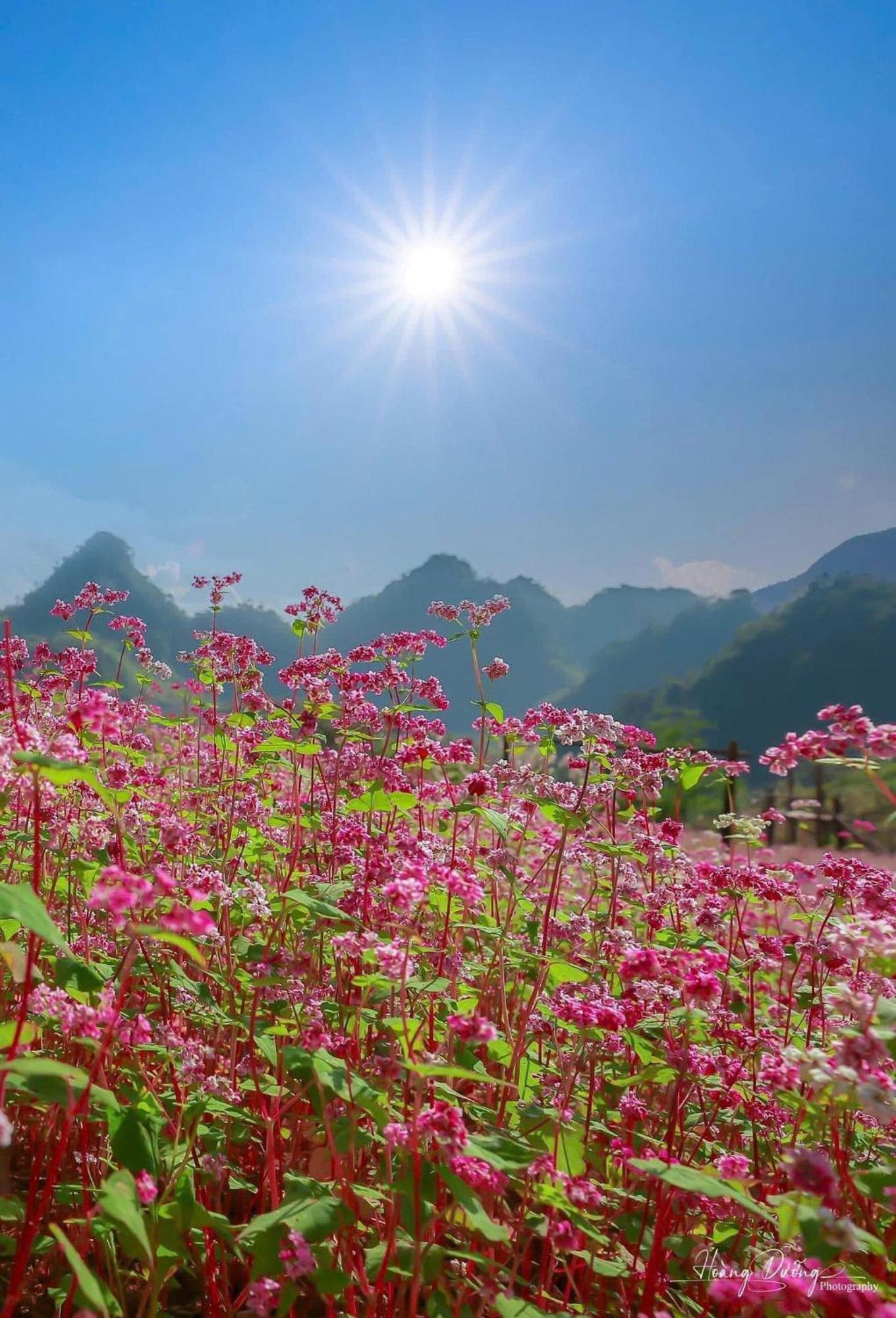 Thuy Anh Hotel 하 기앙 외부 사진